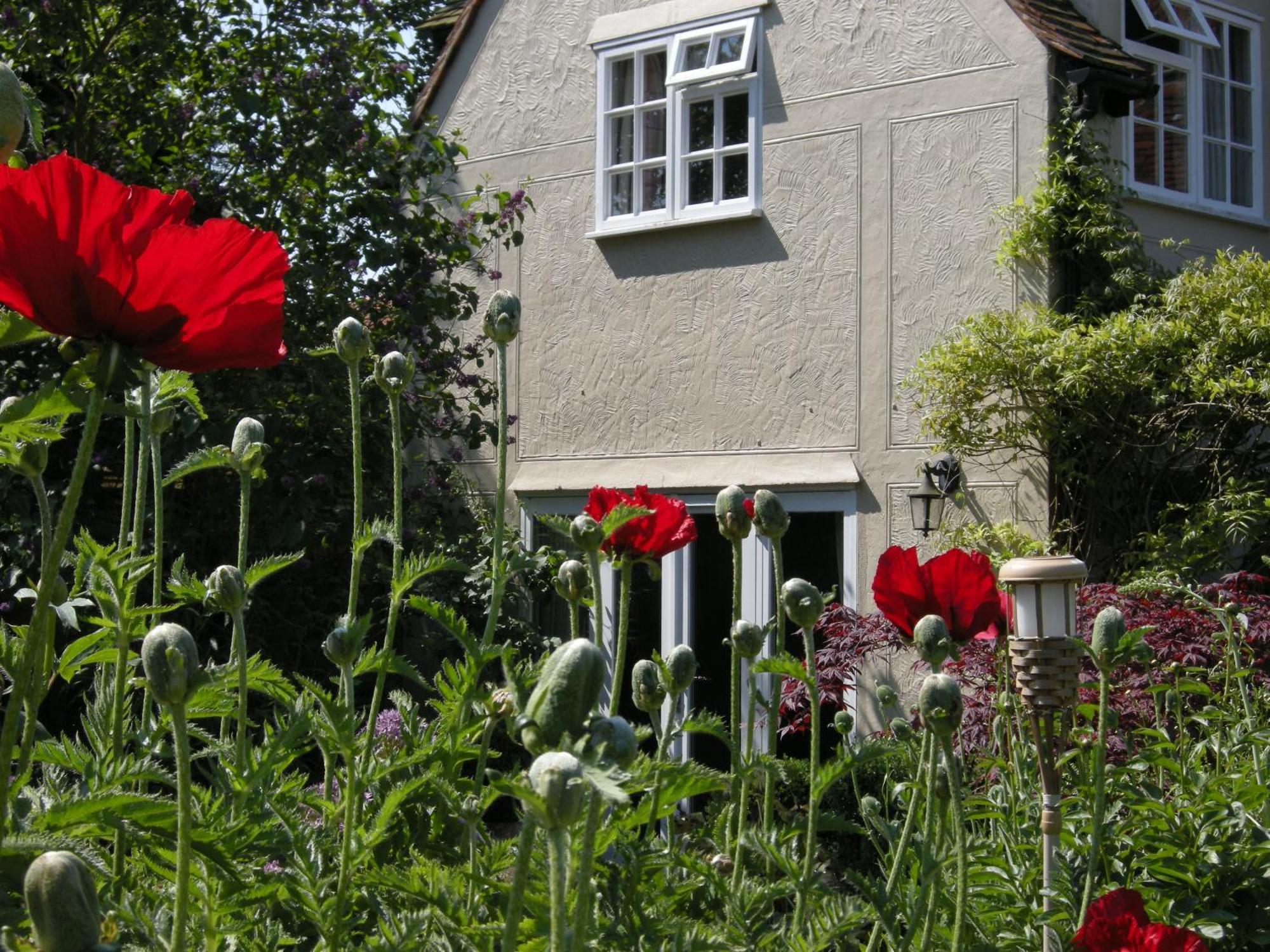 Motts Bed & Breakfast Great Dunmow Extérieur photo