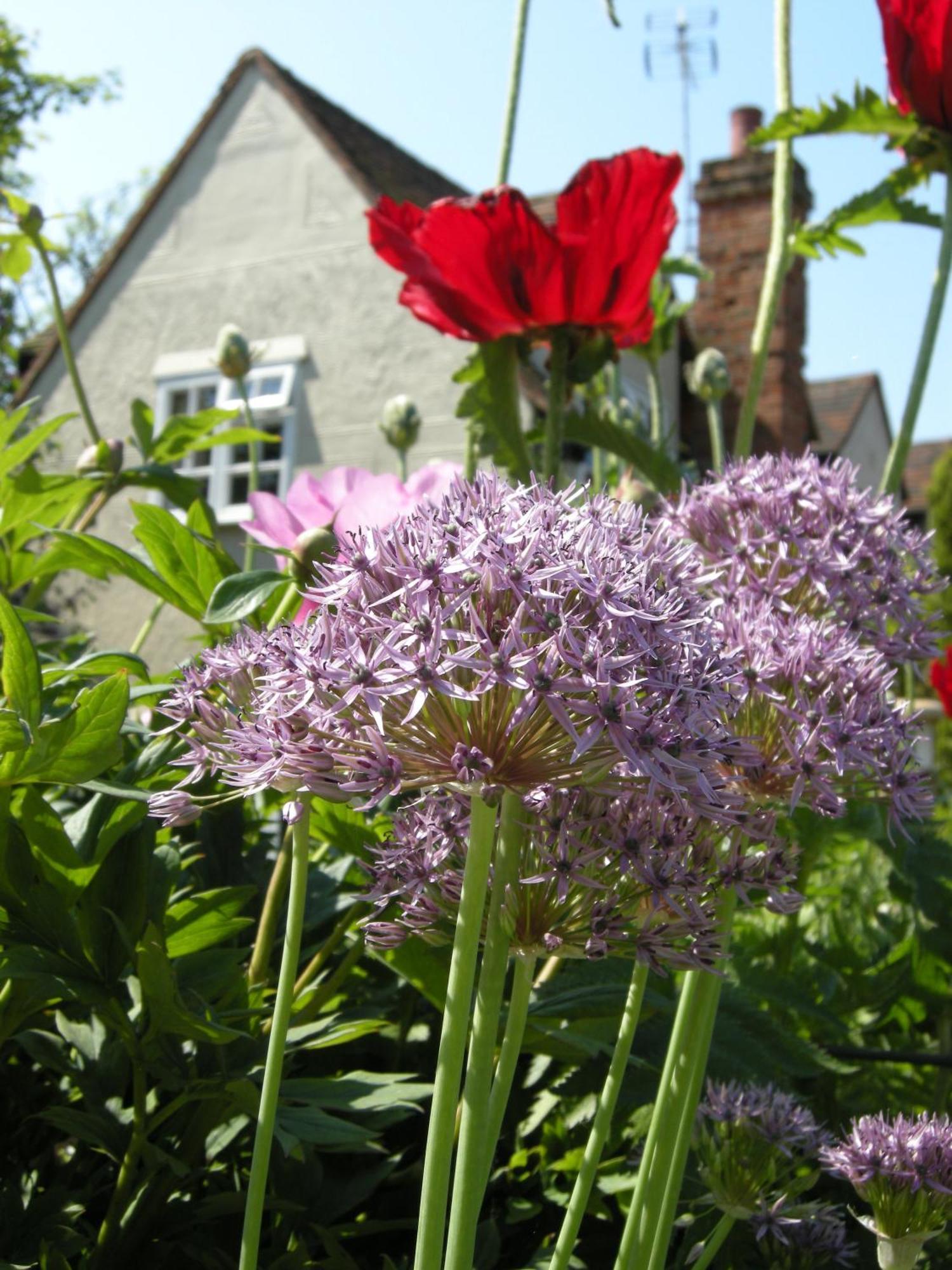 Motts Bed & Breakfast Great Dunmow Extérieur photo
