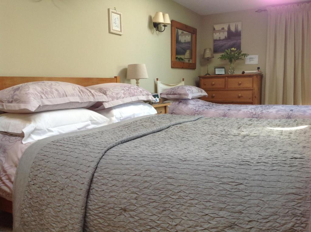 Motts Bed & Breakfast Great Dunmow Extérieur photo